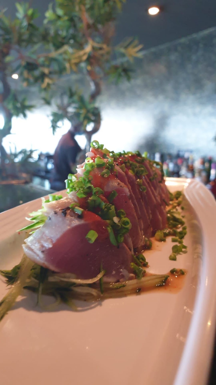 Maguro Tataki